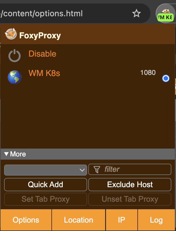 FoxyProxy proxy switcher pane